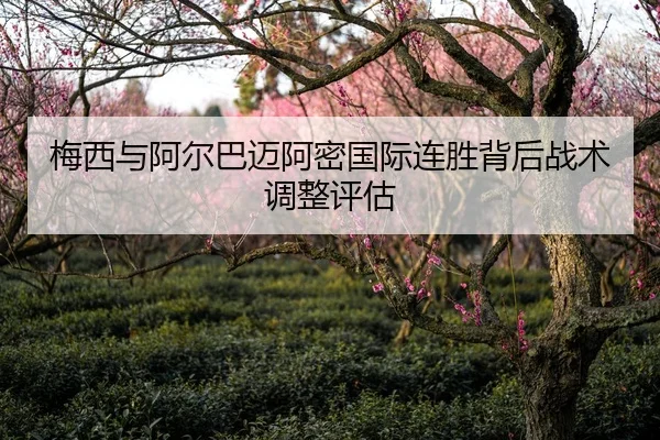梅西与阿尔巴迈阿密国际连胜背后战术调整评估